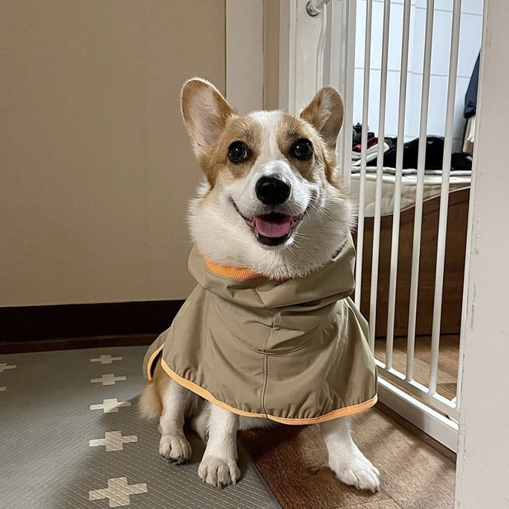 Chubasquero ligero e impermeable para perros con capucha y tira reflectante para exteriores