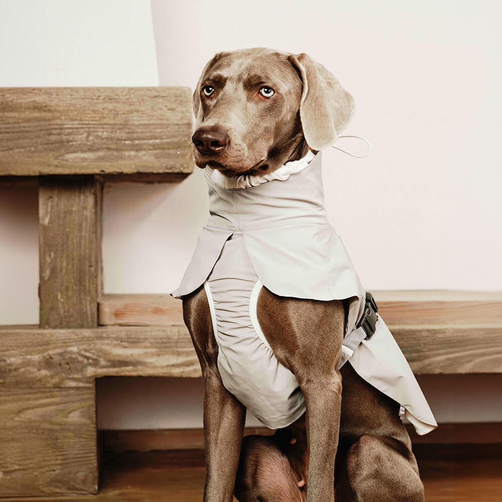 Chaqueta impermeable para perros con cuello alto, ligera, elegante y para exteriores