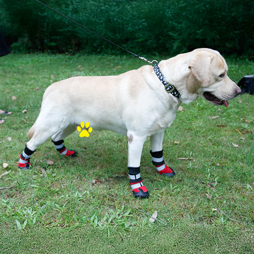 Botas para perros impermeables, cálidas, duraderas y reflectantes para exteriores