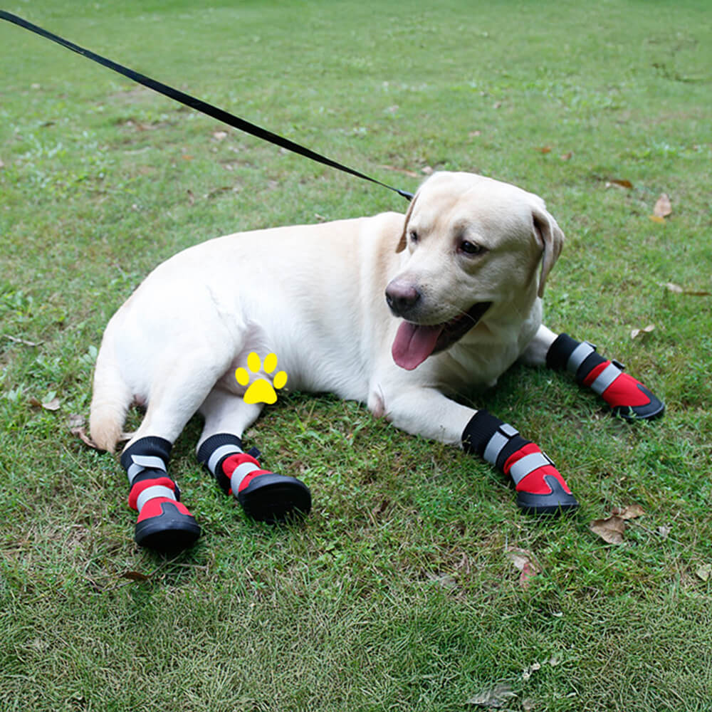 Botas para perros impermeables, cálidas, duraderas y reflectantes para exteriores