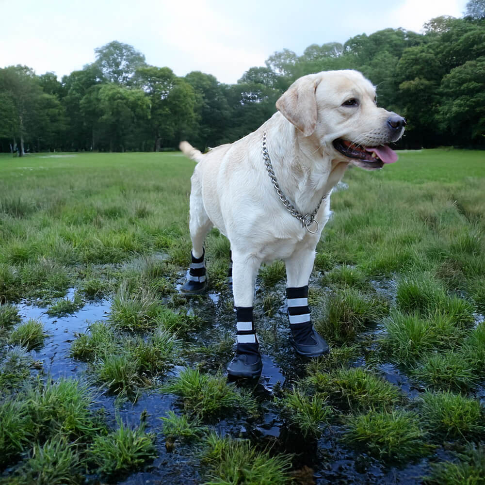 Botas para perros impermeables, cálidas, duraderas y reflectantes para exteriores