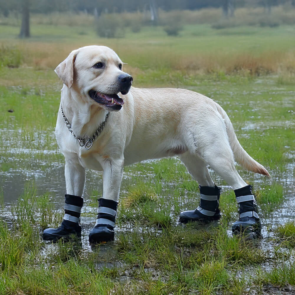 Botas para perros impermeables, cálidas, duraderas y reflectantes para exteriores