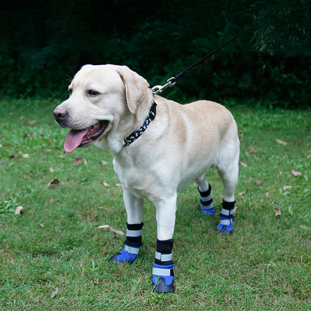 Botas para perros impermeables, cálidas, duraderas y reflectantes para exteriores