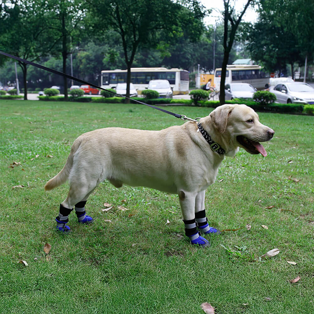 Botas para perros impermeables, cálidas, duraderas y reflectantes para exteriores