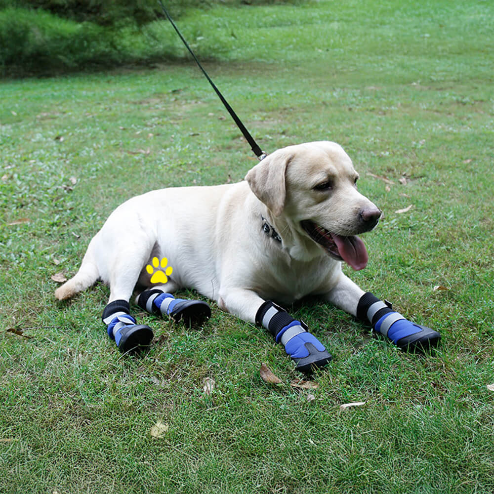 Botas para perros impermeables, cálidas, duraderas y reflectantes para exteriores