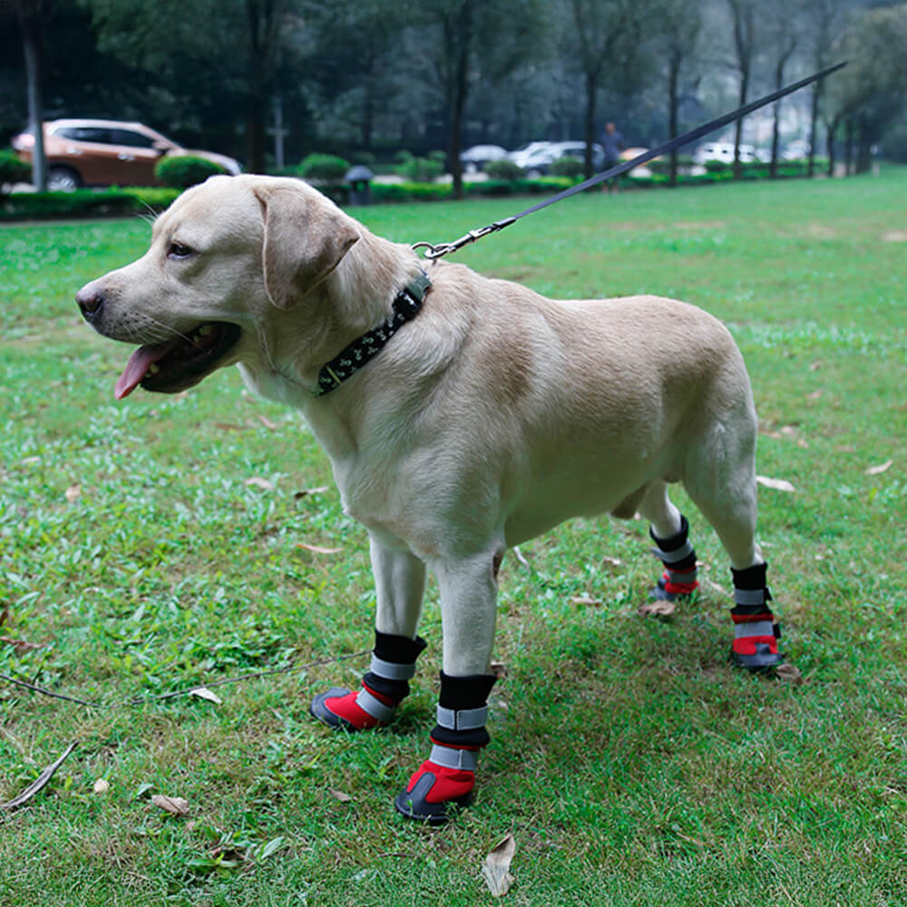 Botas para perros impermeables, cálidas, duraderas y reflectantes para exteriores