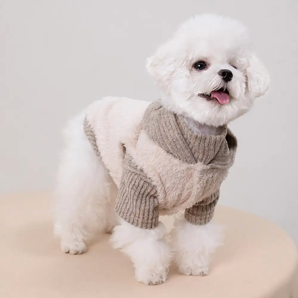 Plush Coat & Matching Turtleneck Sweater Two-Piece Dog Outfit Set