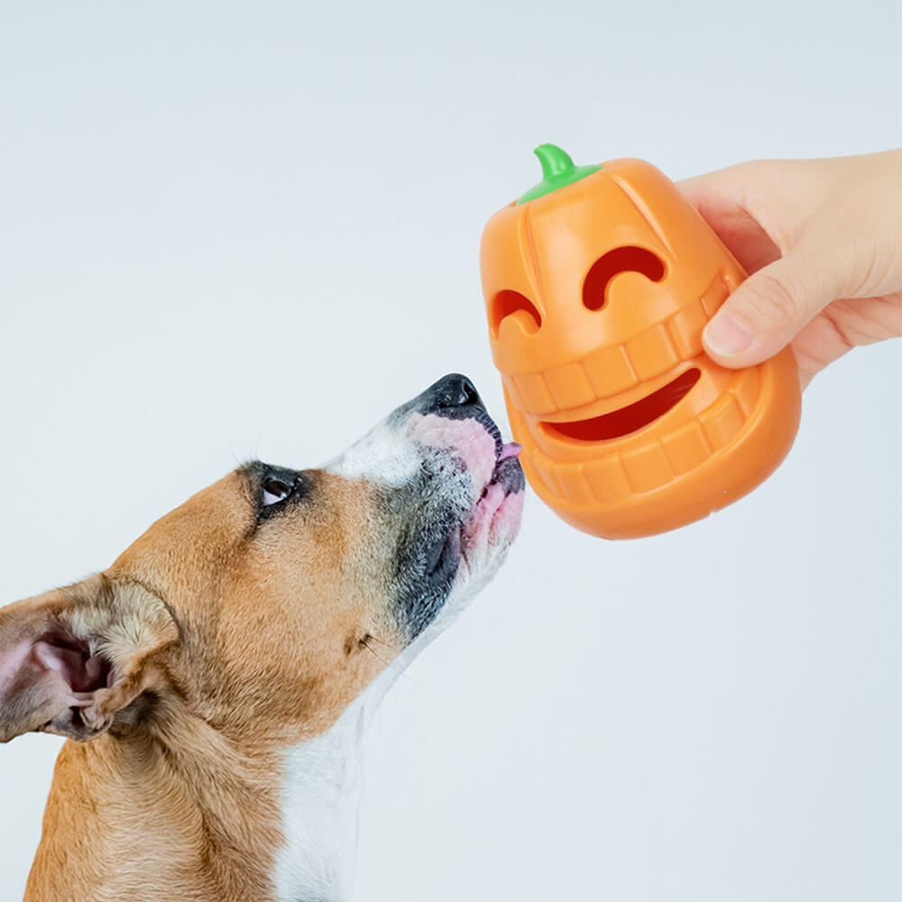 Juguete dispensador de golosinas para perros de calabaza Juguete masticable interactivo