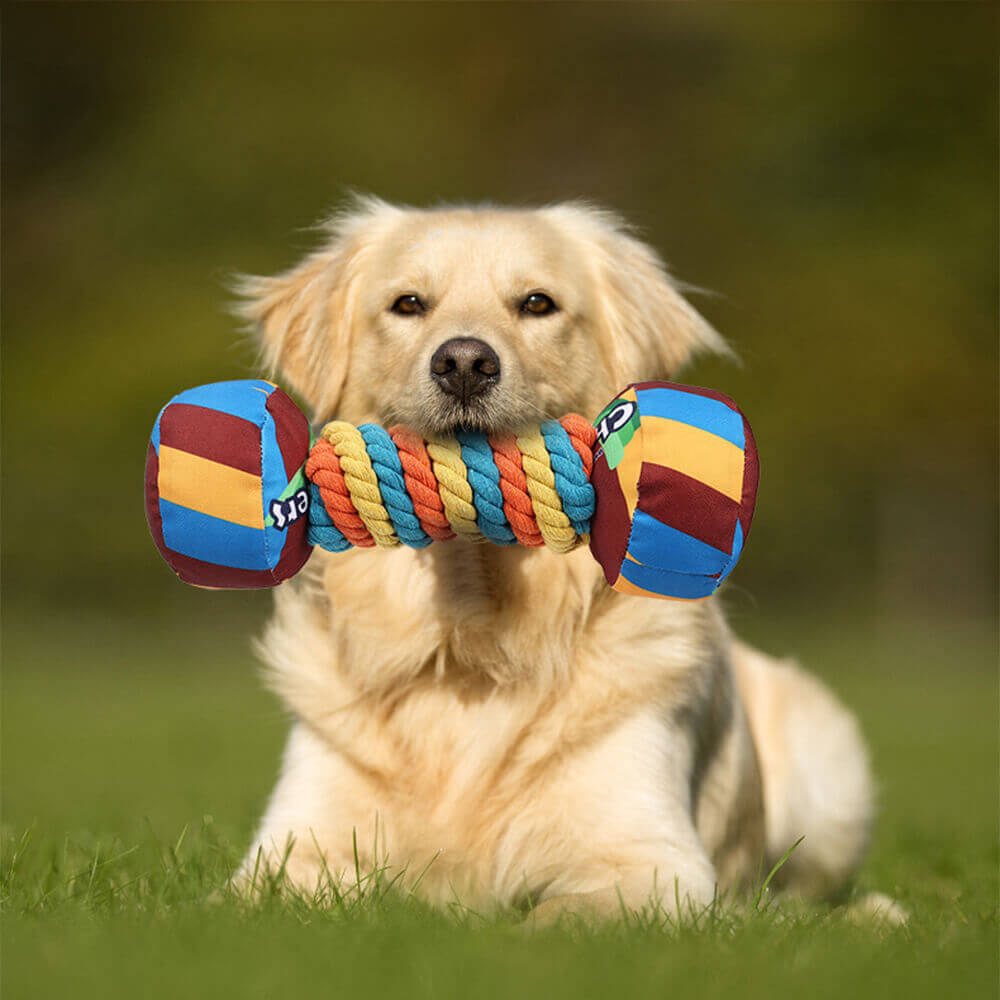 Juguete interactivo con forma de mancuerna y chirrido para perros, duradero y con cuerda