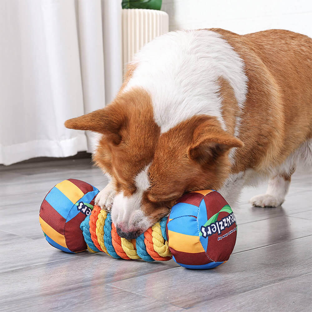 Juguete interactivo con forma de mancuerna y chirrido para perros, duradero y con cuerda