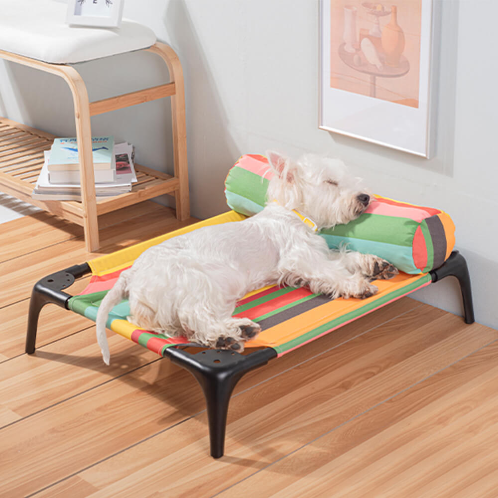 Cama elevada para mascotas con diseño de rayas de arcoíris y almohada: duradera, resistente a las mordeduras y con capacidad de carga