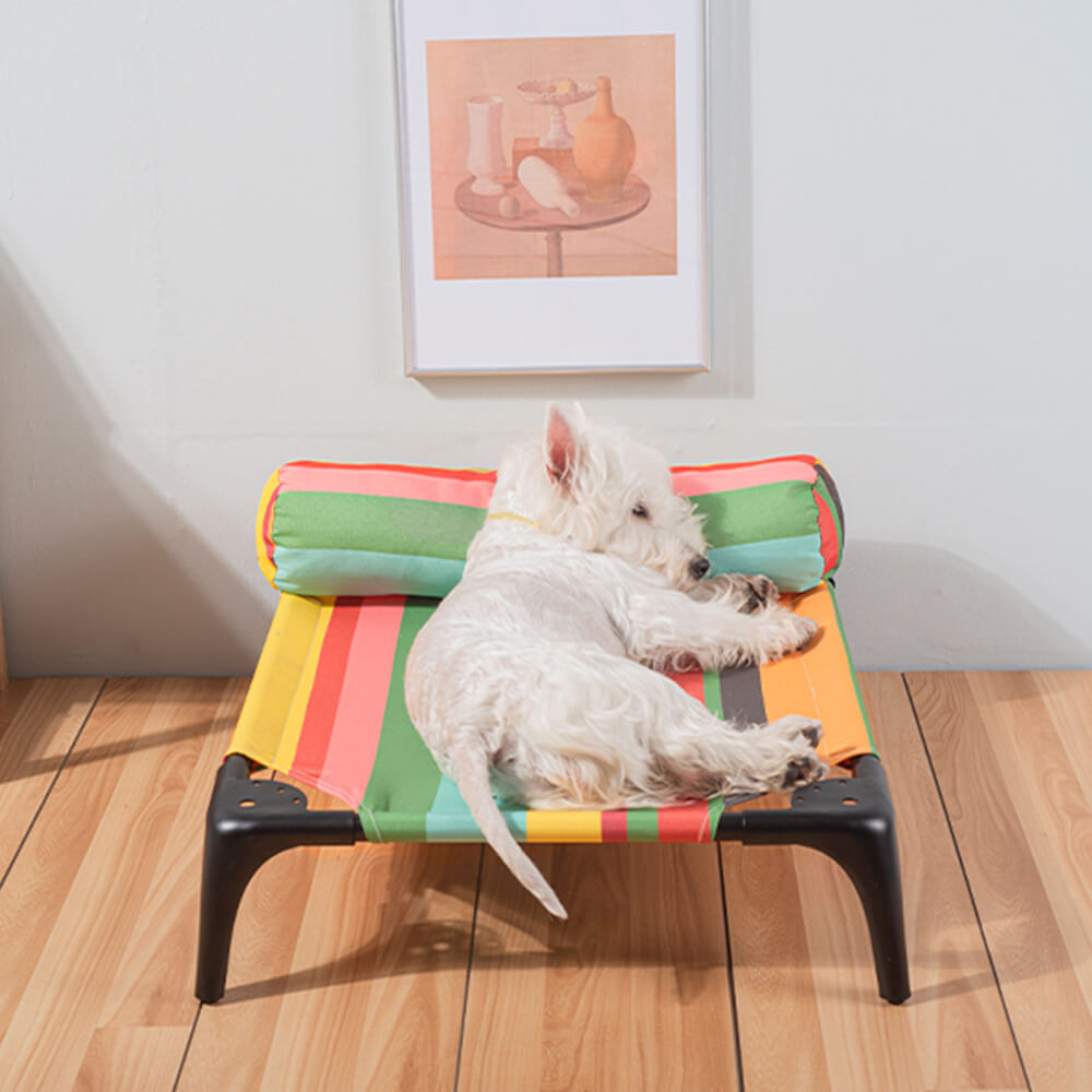 Cama elevada para mascotas con diseño de rayas de arcoíris y almohada: duradera, resistente a las mordeduras y con capacidad de carga