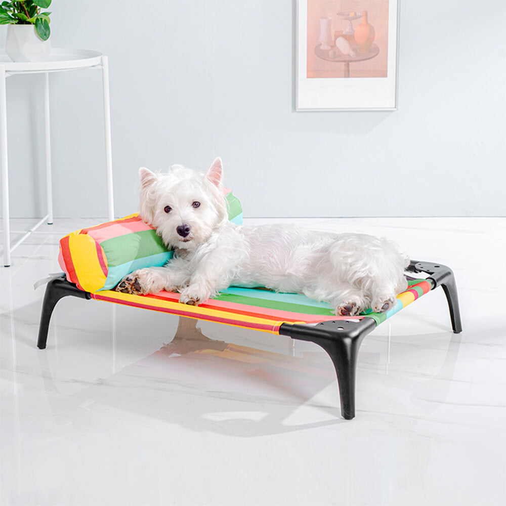 Cama elevada para mascotas con diseño de rayas de arcoíris y almohada: duradera, resistente a las mordeduras y con capacidad de carga