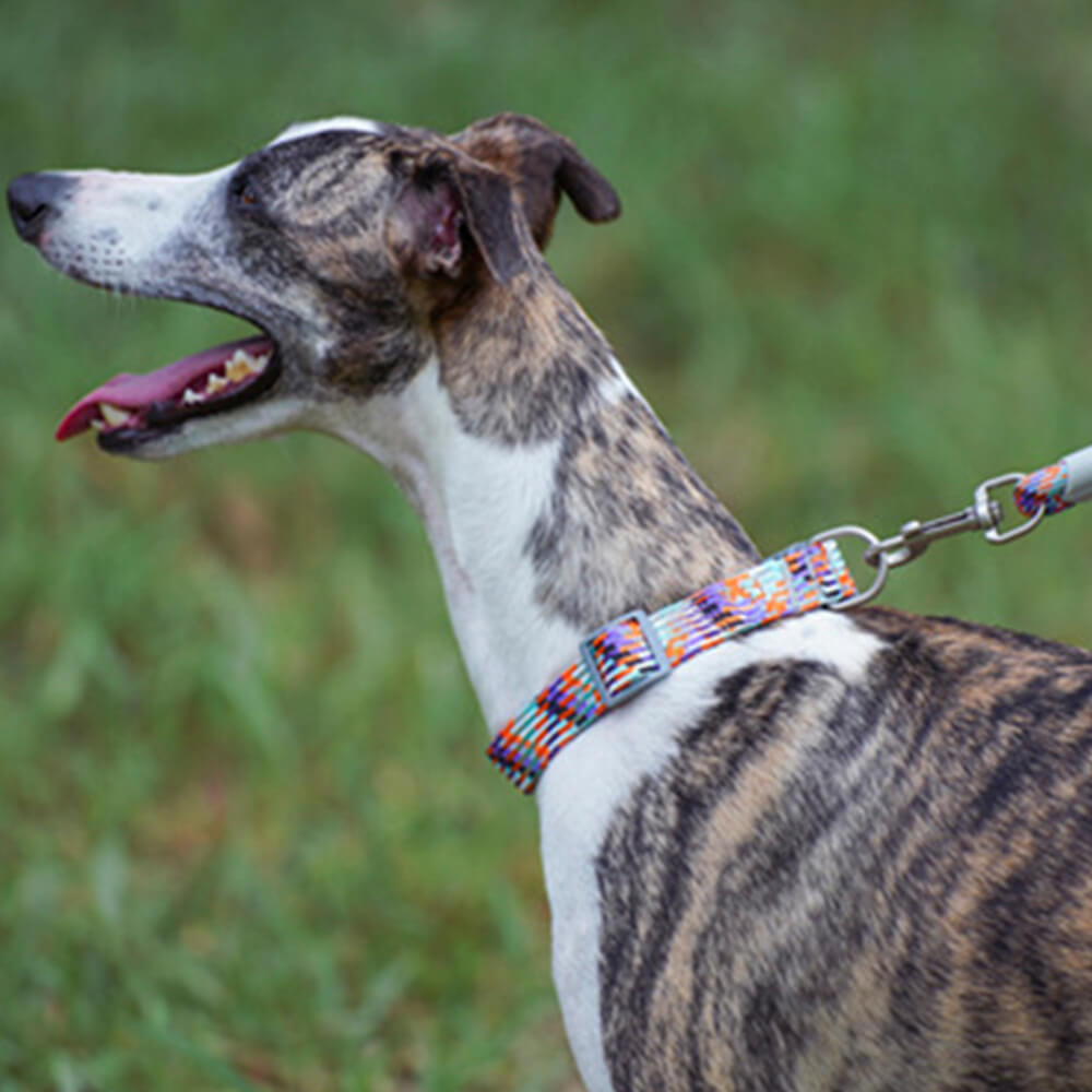 Collar y correa para perro antitirones ajustables con tejido reflectante