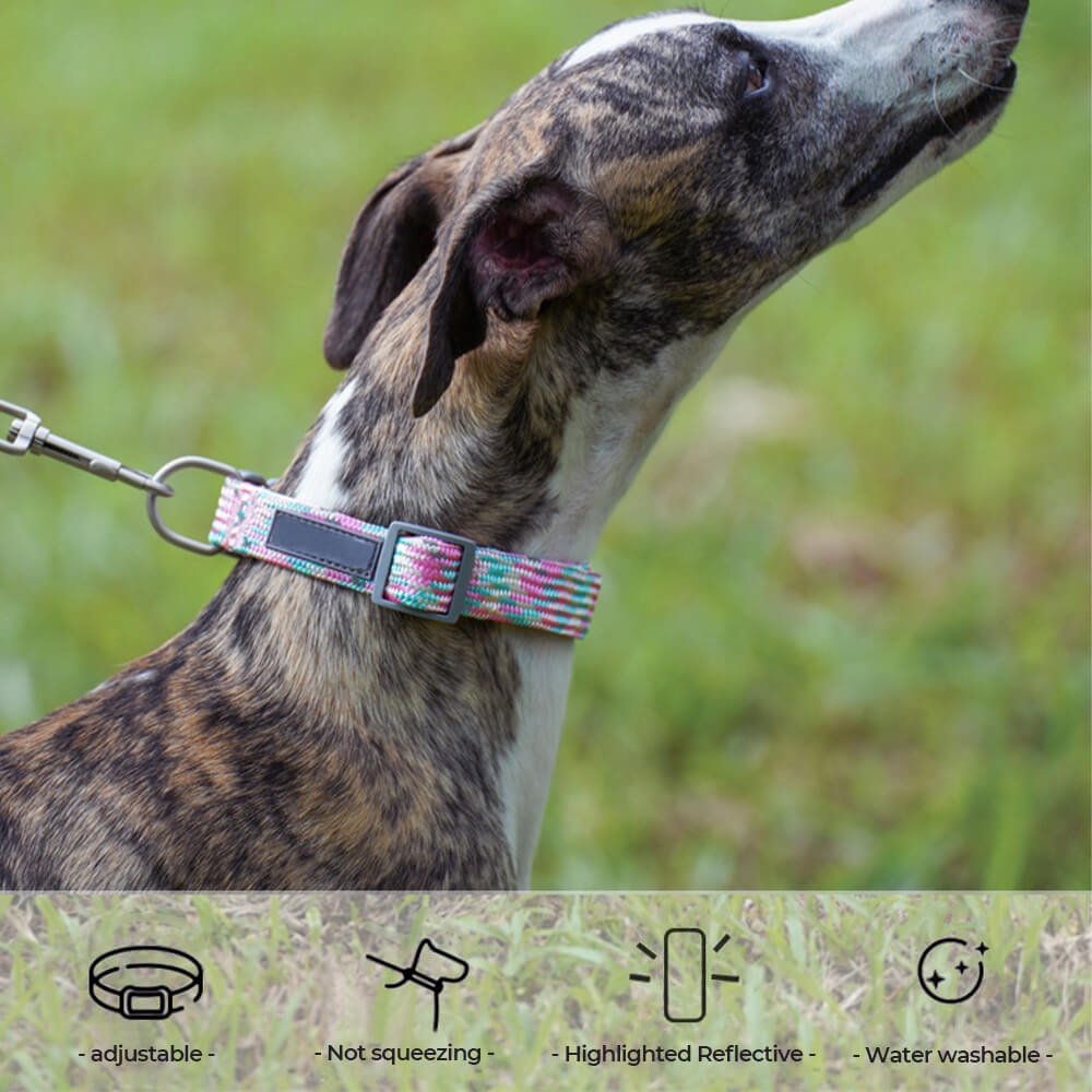 Reflective Weave Adjustable Anti Pull Dog Collar and Leash