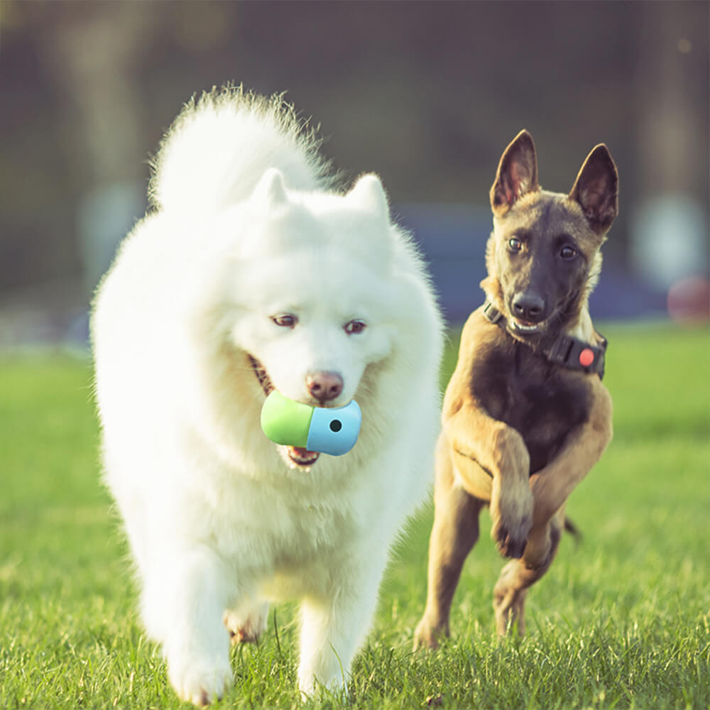 Juguete interactivo de silicona para perros con forma de bola rodante