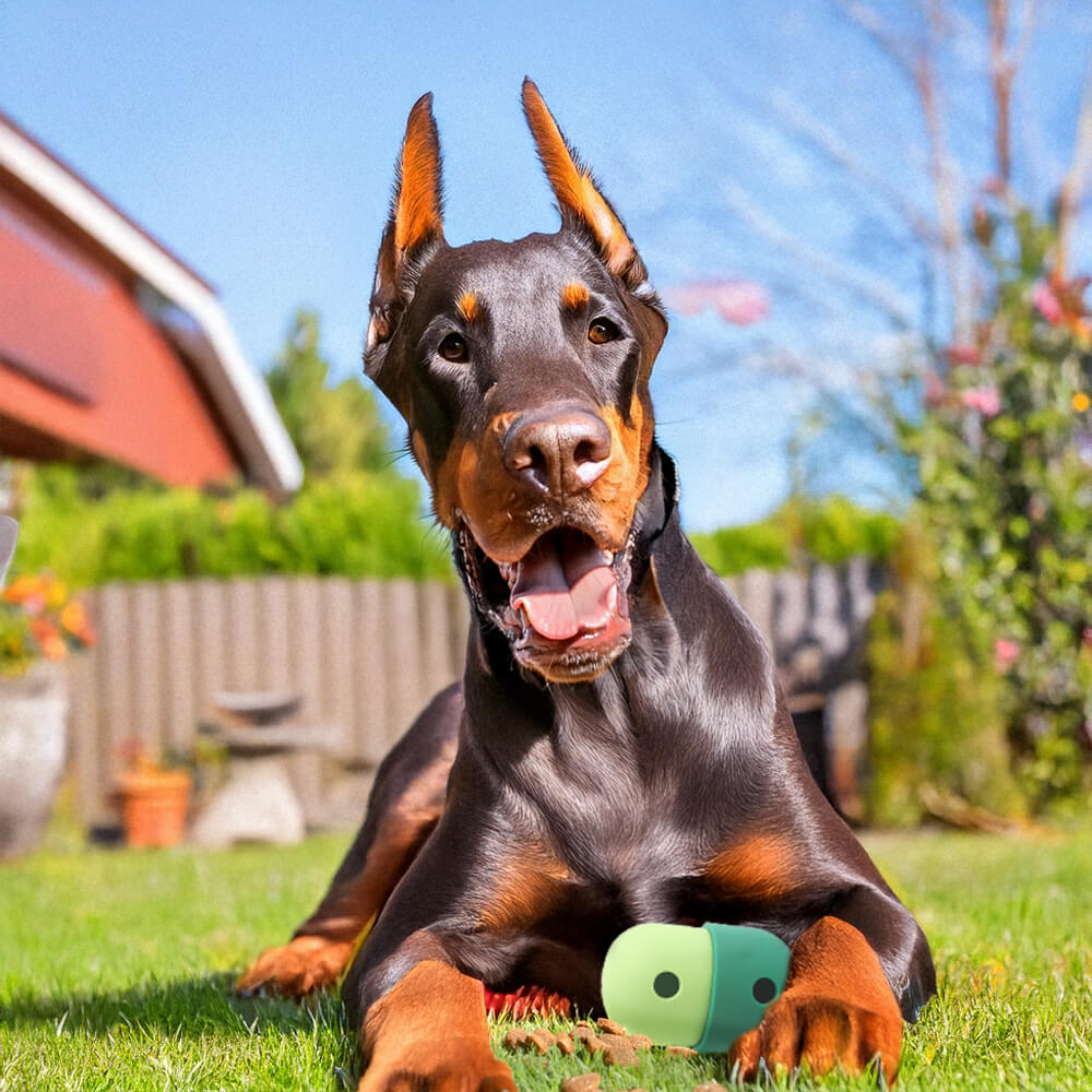 Juguete interactivo de silicona para perros con forma de bola rodante