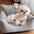 Cama para perros de sofá de corduroy rústico con estampado a cuadros y juguete