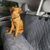 Soft chenille impermeable a impermeabilizar el asiento trasero del asiento trasero del asiento del asiento del asiento del perro hamaca