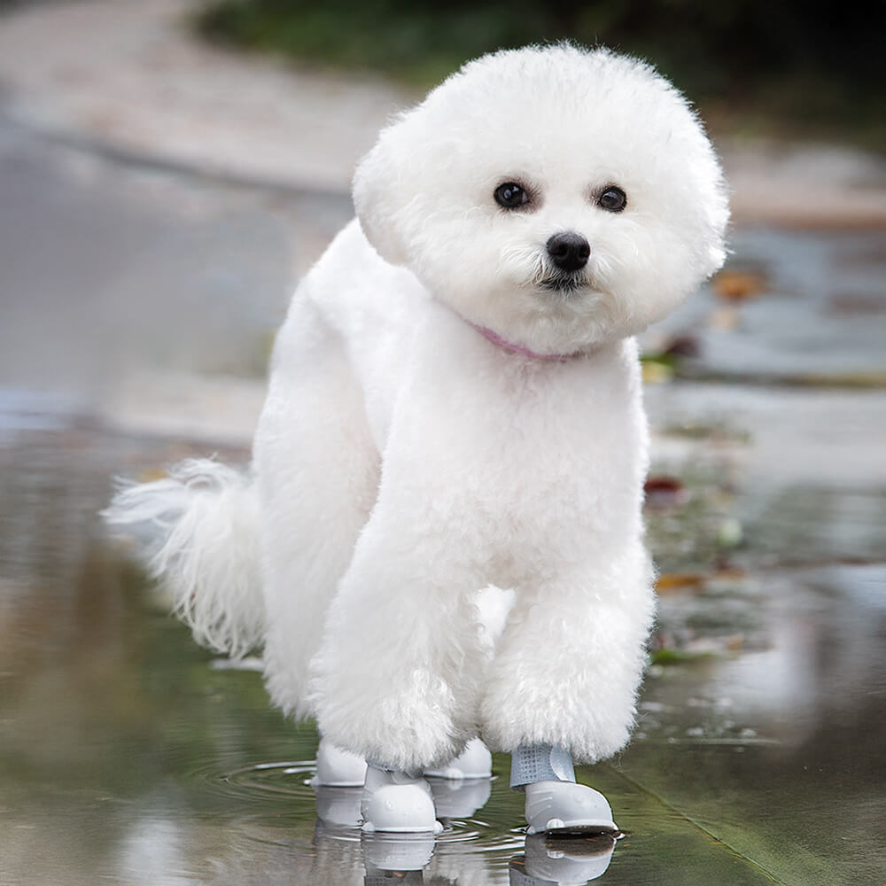 Zapatos de lluvia para perros, suaves, impermeables, ligeros y antideslizantes, para exteriores