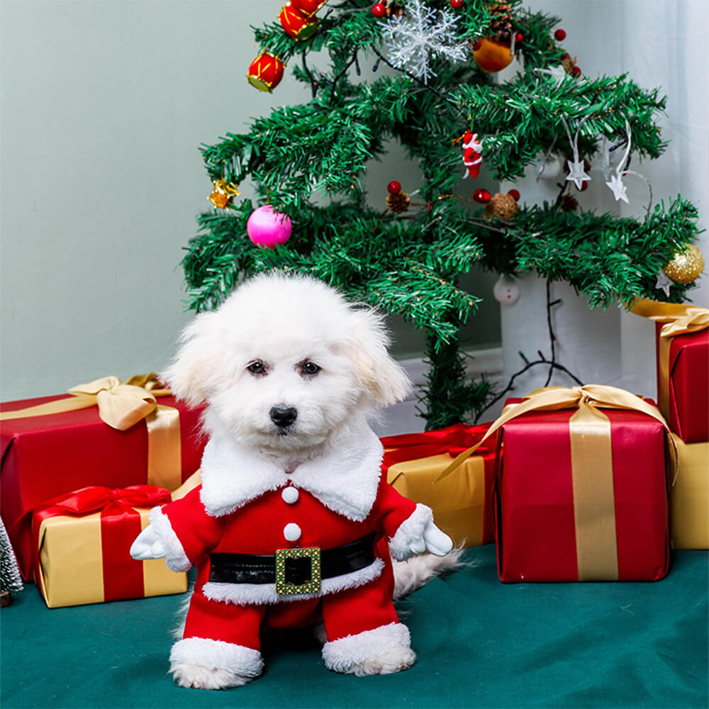 Disfraz de Papá Noel estereoscópico para Navidad, sombrero, disfraz de perro