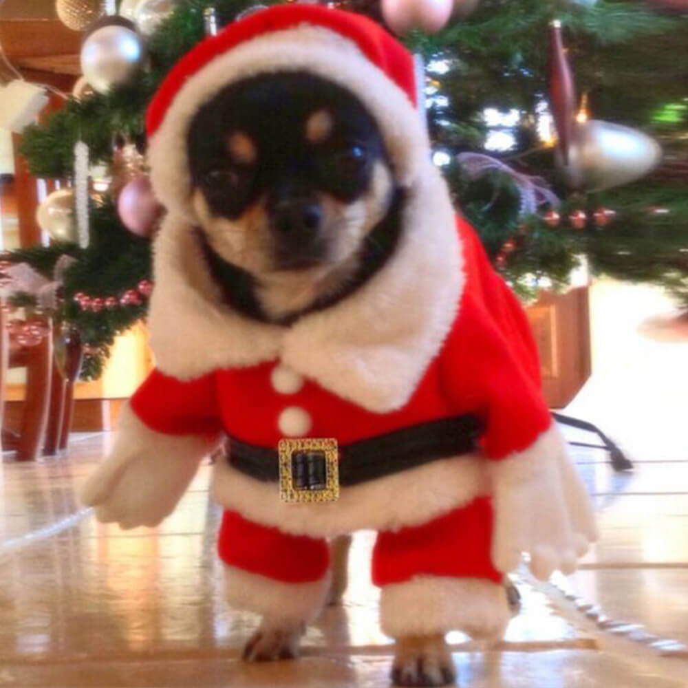 Disfraz de Papá Noel estereoscópico para Navidad, sombrero, disfraz de perro