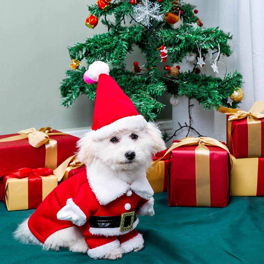 Disfraz de Papá Noel estereoscópico para Navidad, sombrero, disfraz de perro