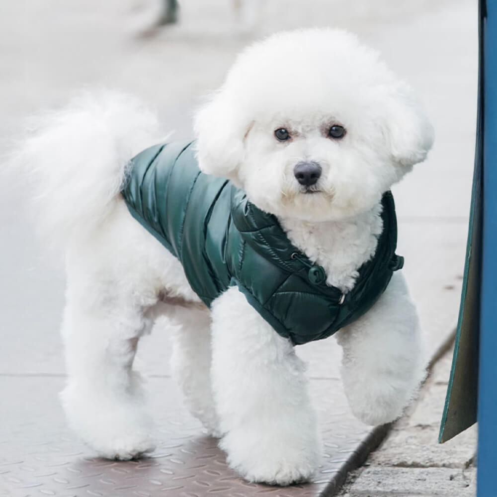 Chaleco con capucha para perros, moderno, ligero y cálido, con correa con anilla en D