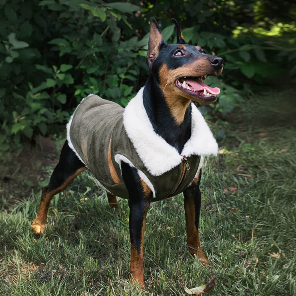 Chaqueta tipo chaleco con solapa de ante sintético estilo vintage para perro