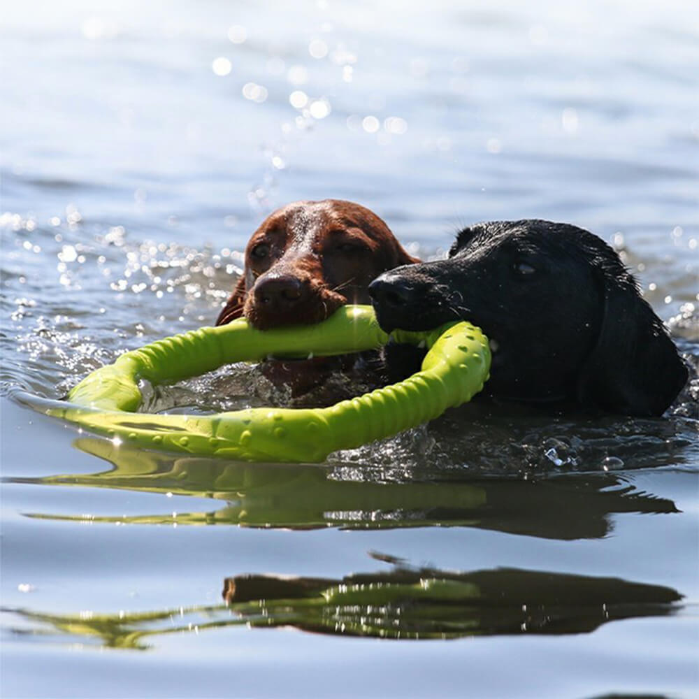 Juguete interactivo para perros War Ring, duradero, impermeable, ligero y flexible