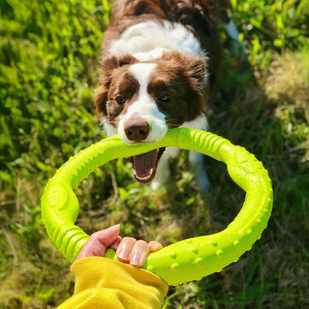 Juguete interactivo para perros War Ring, duradero, impermeable, ligero y flexible