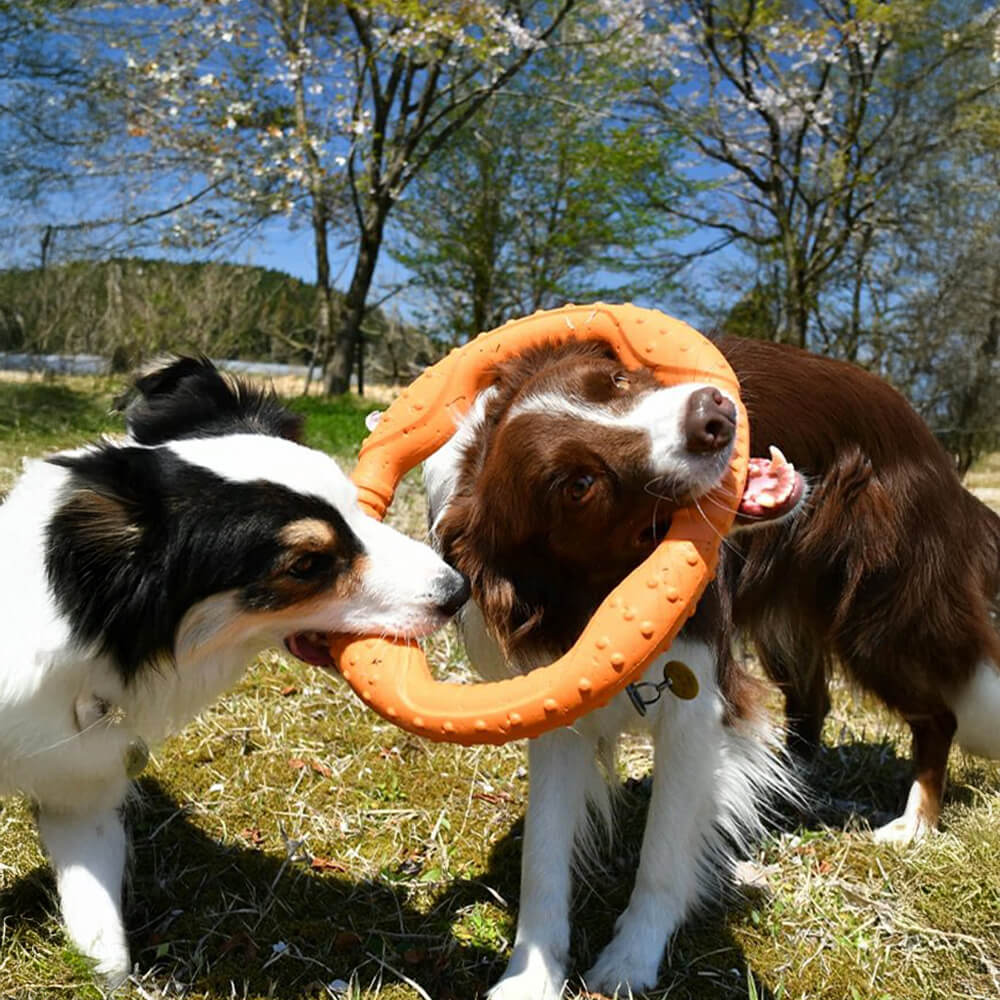 Juguete interactivo para perros War Ring, duradero, impermeable, ligero y flexible