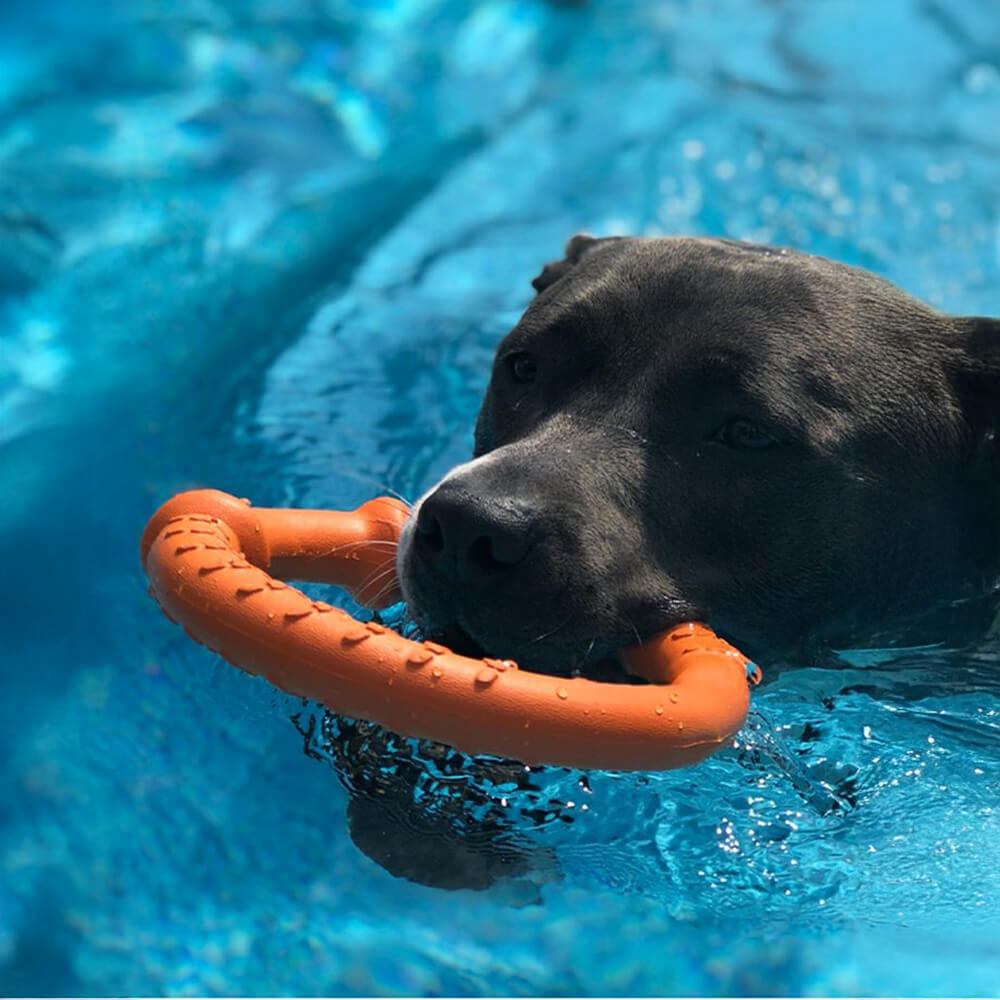 Juguete interactivo para perros War Ring, duradero, impermeable, ligero y flexible