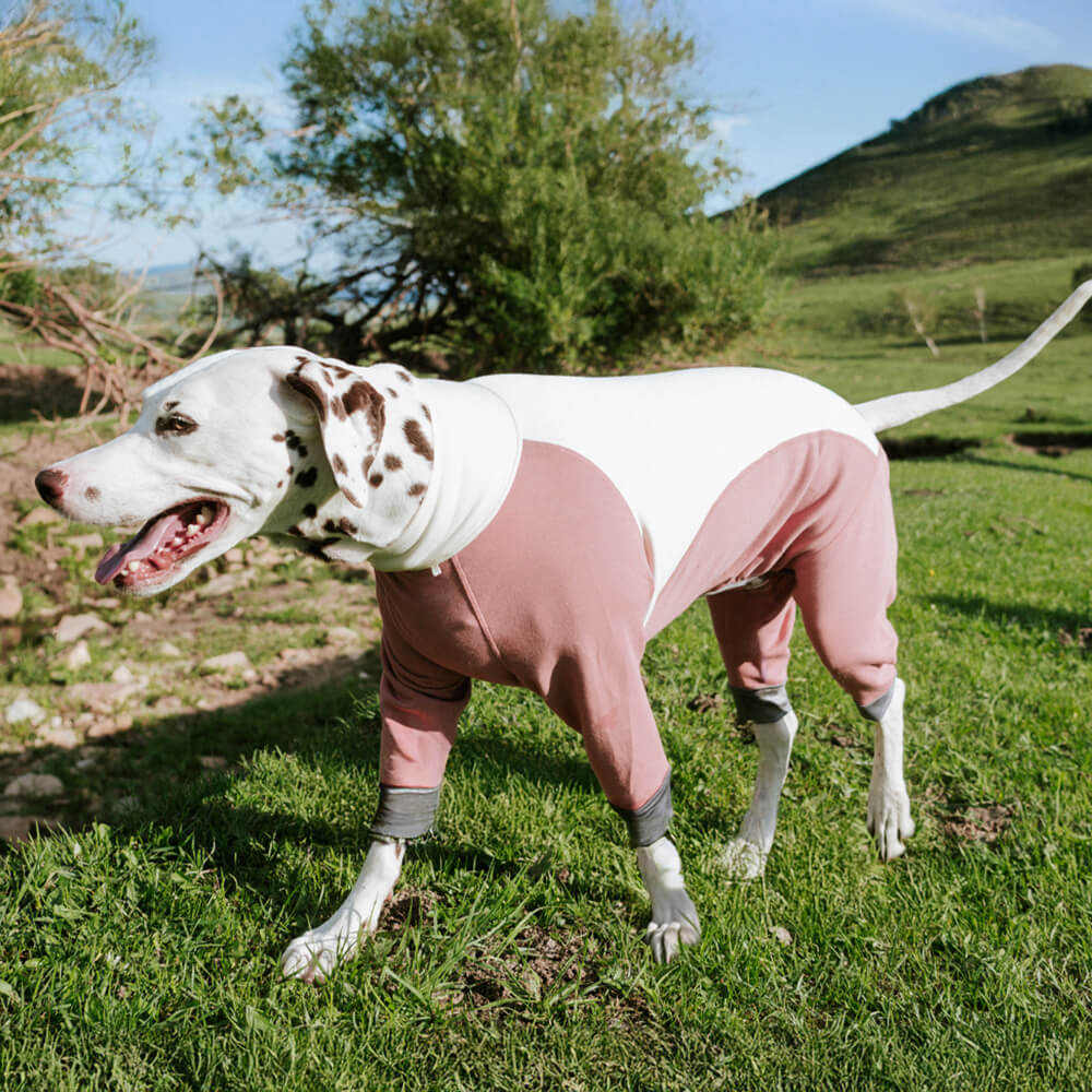 Body para perro de cuatro patas, elástico, antiestático, cálido y acogedor con cuello alto para exteriores