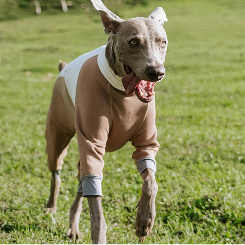 Body para perro de cuatro patas, elástico, antiestático, cálido y acogedor con cuello alto para exteriores