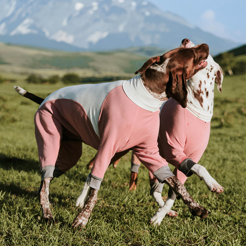 Body para perro de cuatro patas, elástico, antiestático, cálido y acogedor con cuello alto para exteriores