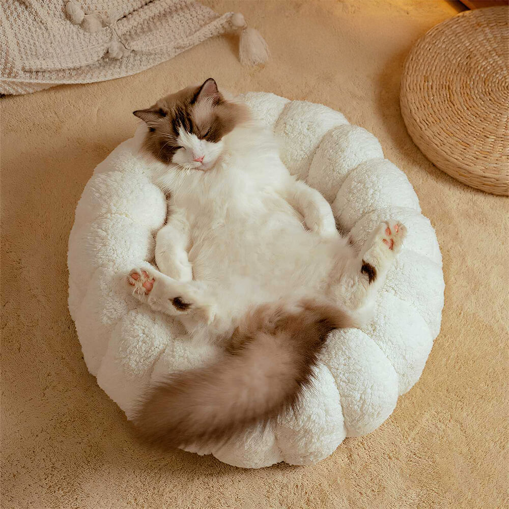 Cama semicerrada multiusos para gatos, cálida y agradable para la piel, con soporte completo