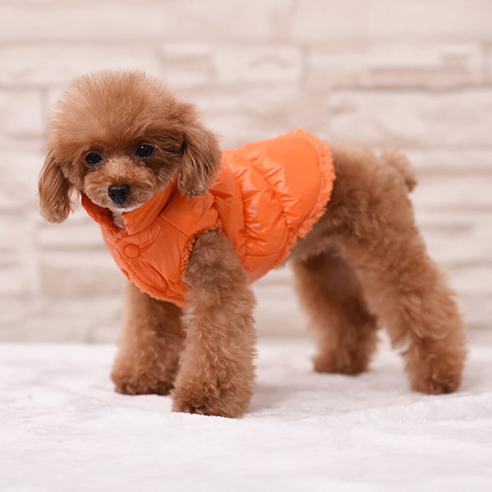 Chaleco para perros cálido, grueso, resistente al viento, impermeable y ecológico