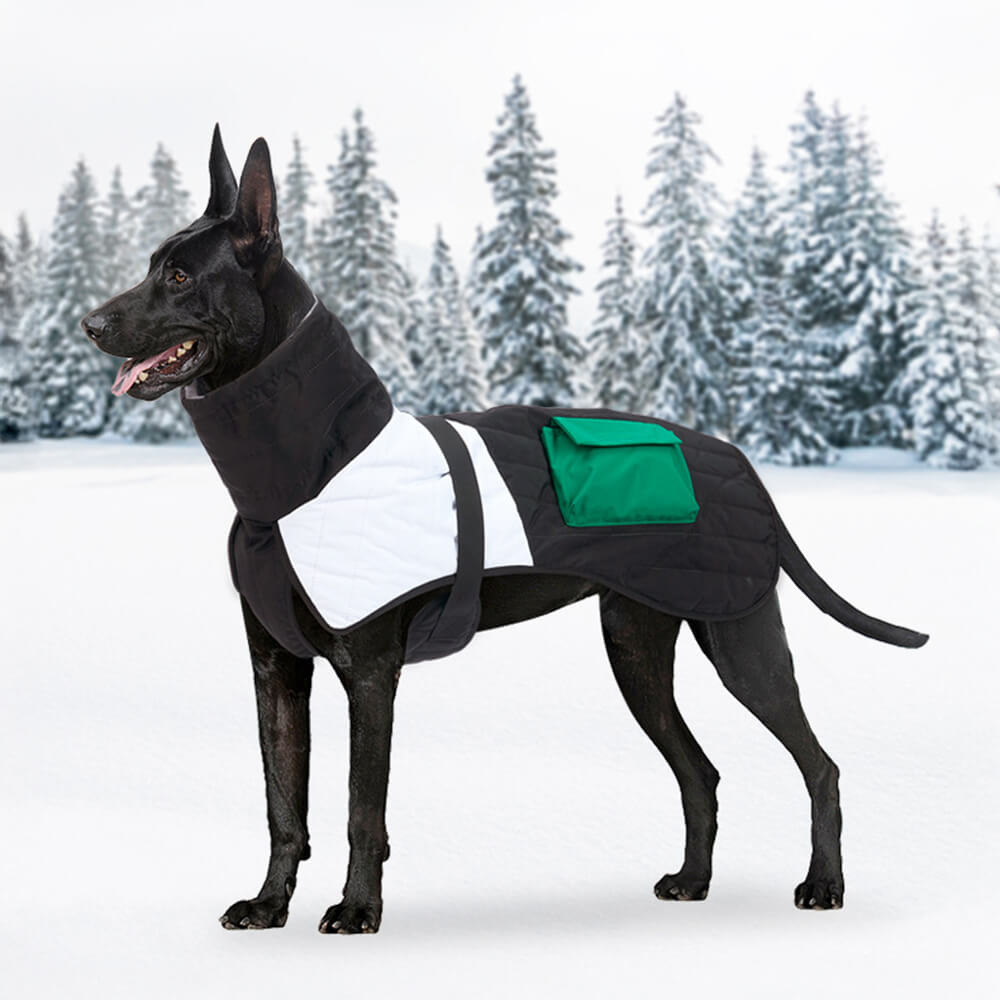 Chaqueta gruesa para perros con cuello alto, cálida, impermeable, con bolsillo ajustable