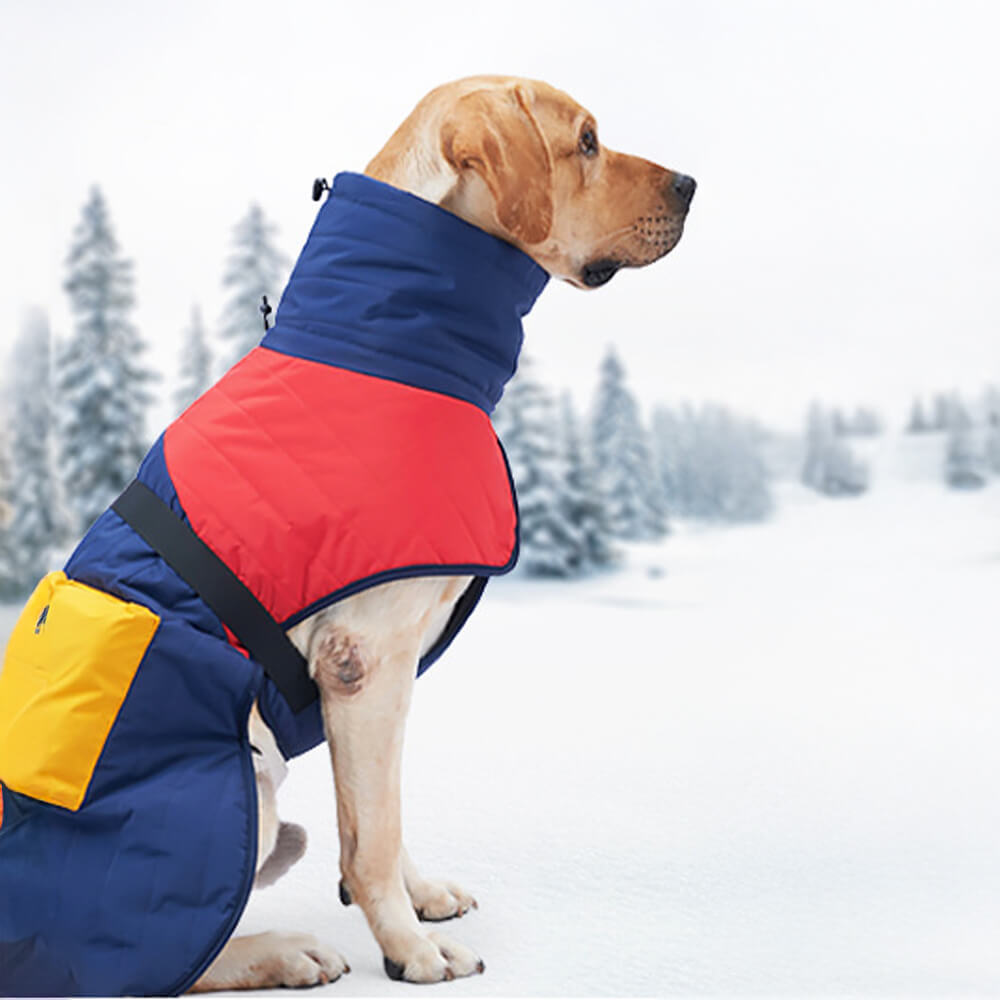 Chaqueta gruesa para perros con cuello alto, cálida, impermeable, con bolsillo ajustable