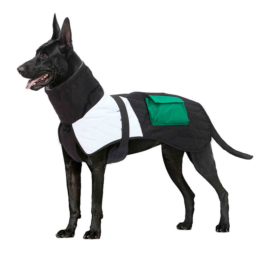 Chaqueta gruesa para perros con cuello alto, cálida, impermeable, con bolsillo ajustable