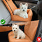 COCHE DE CAR CAR CAR CAR CAR CAR CAR CAR CAR CAR CAR CAR CAR CAST DARS RESISTENTE DE PULO RESISTENTE DEL AGUA