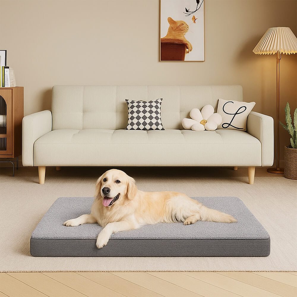 Cama para perro grande de memoria de espuma ortopédica extraíble e impermeable