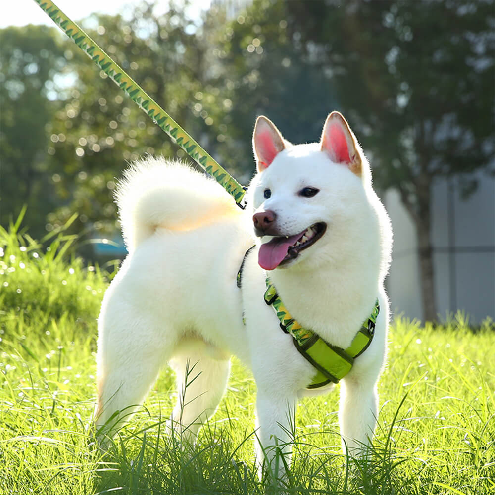 Kit de arnés y correa para perros ajustables y duraderos en forma de X