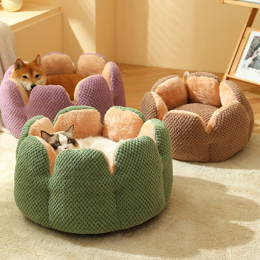 Cama Cómoda para Mascotas con Forma de Cactus