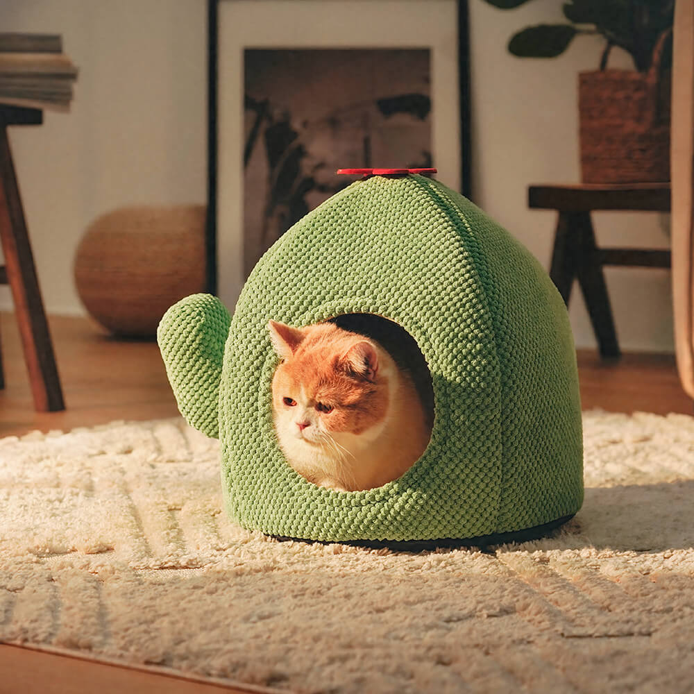 Cama para gatos cálida con forma de cactus