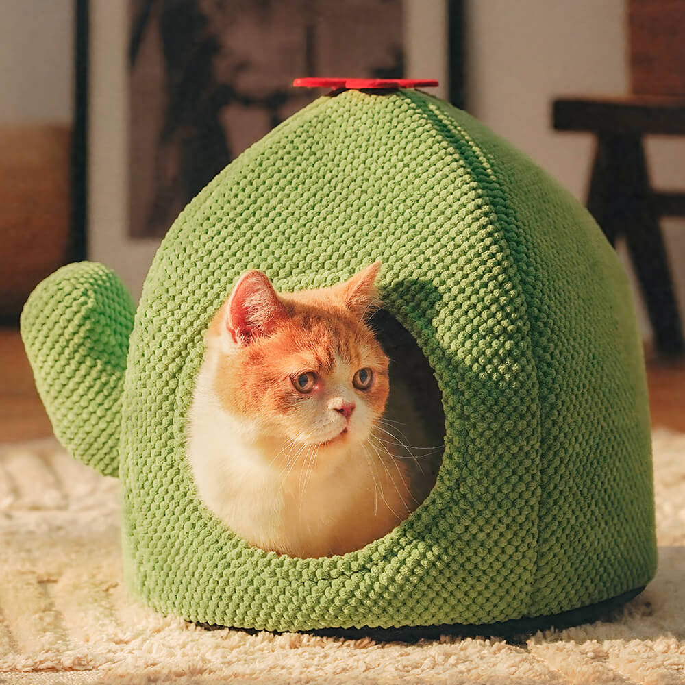 Cama para gatos cálida con forma de cactus