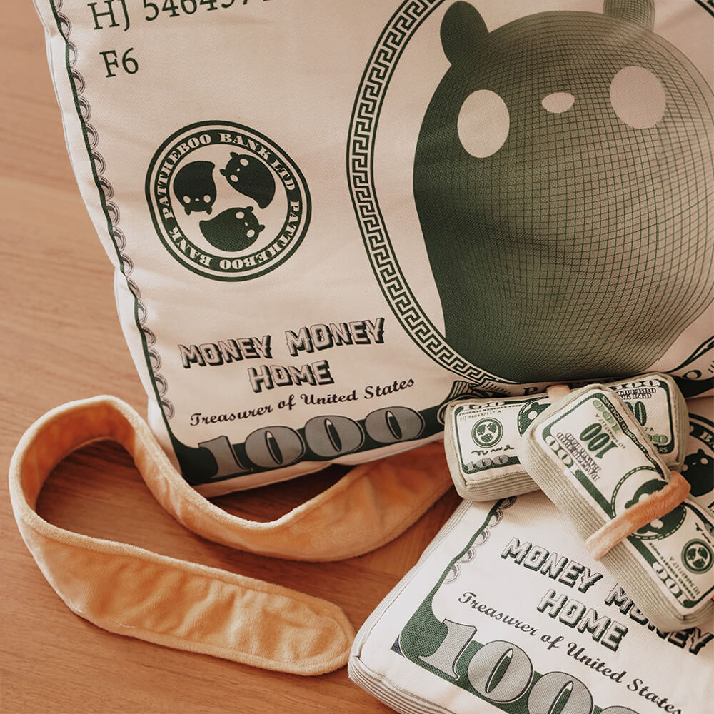 Cama para gatos temática de dinero de lona durable