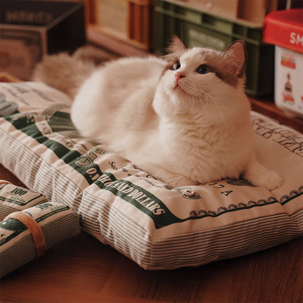 Cama para gatos temática de dinero de lona durable