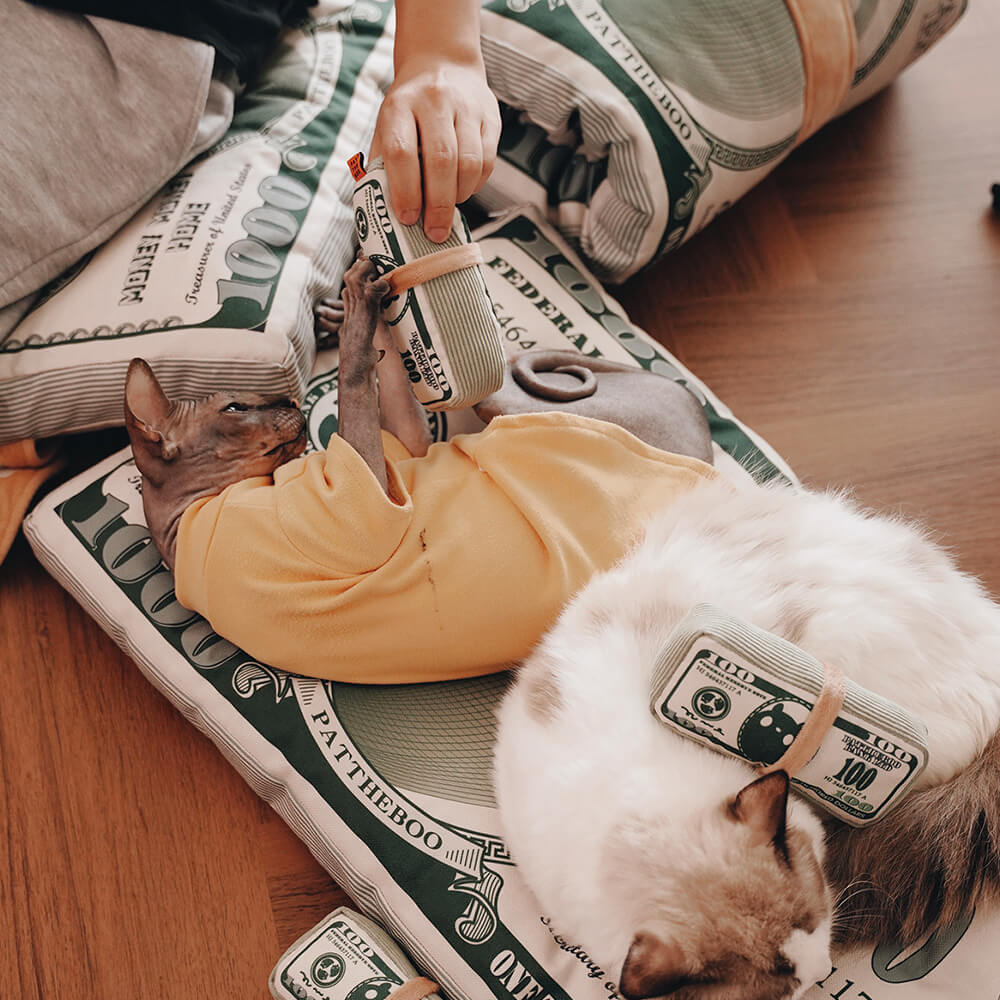 Cama para gatos temática de dinero de lona durable